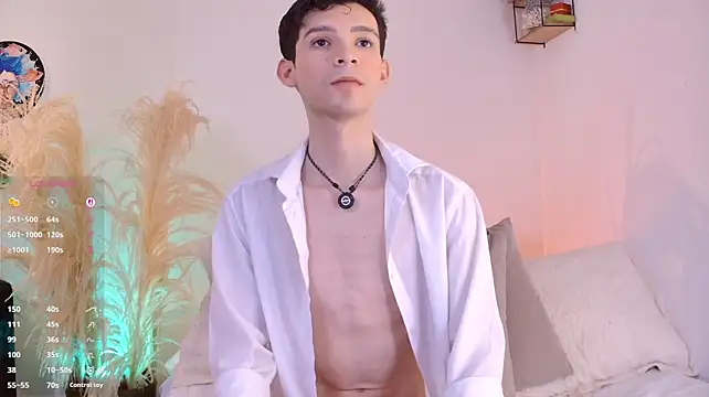 عرض كام VicenteFerrer