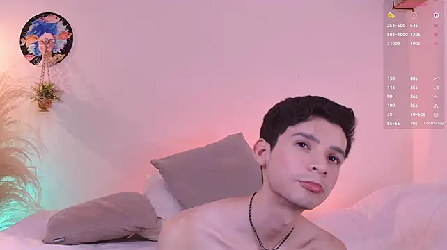 VicenteFerrer Webcam Show