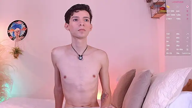 VicenteFerrer Show Webcam