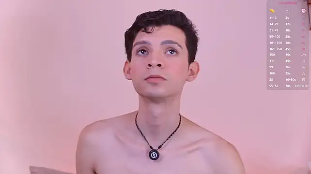 VicenteFerrer webcam show