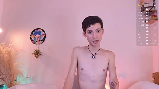 VicenteFerrer Webcam Show