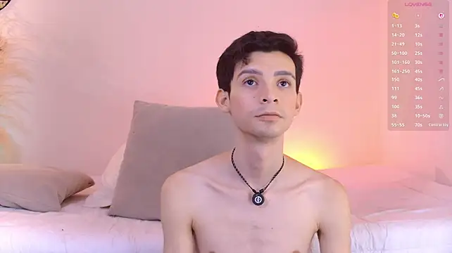VicenteFerrer Webcam Show