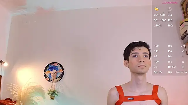 VicenteFerrer Webcamshow