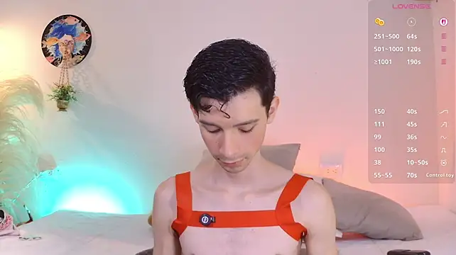 VicenteFerrer Show in webcam