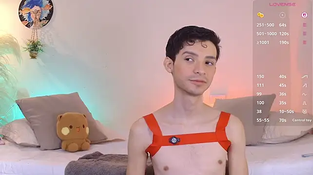 VicenteFerrer Webcam show