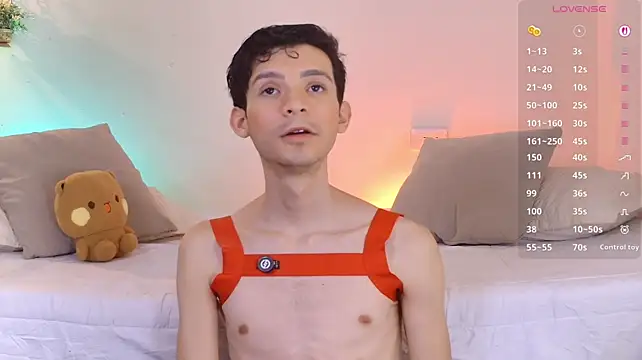 VicenteFerrer Webcamshow