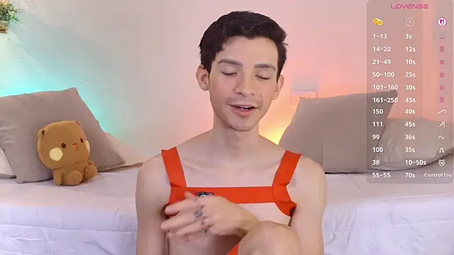 عرض كام VicenteFerrer