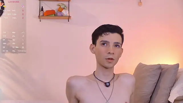 VicenteFerrern Webbikameraesitys