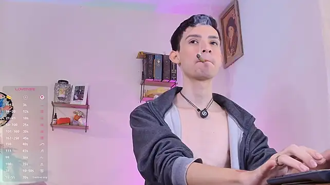 عرض كام VicenteFerrer