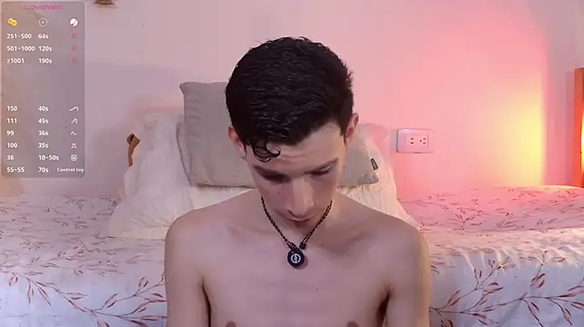 VicenteFerrer Show Webcam