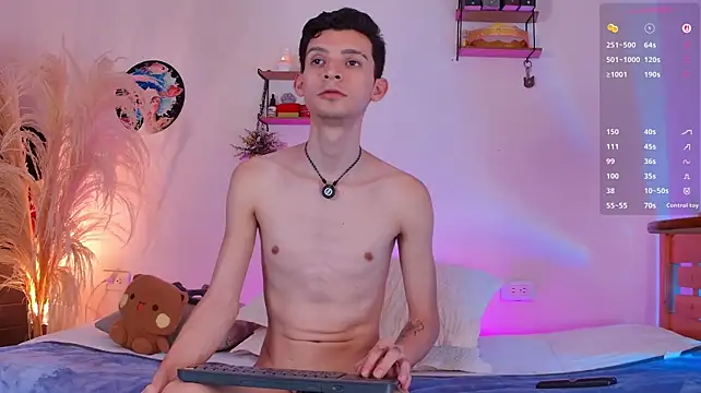 VicenteFerrern Webbikameraesitys