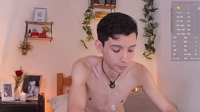 VicenteFerrern Webbikameraesitys