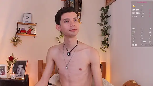 VicenteFerrer Webcam show