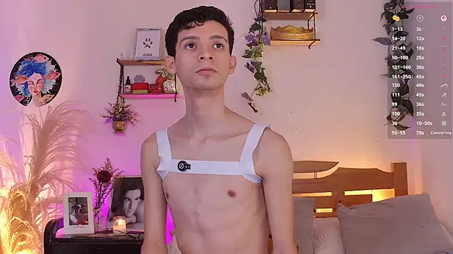 عرض كام VicenteFerrer