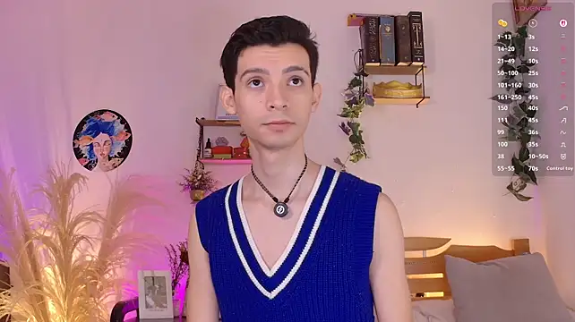 VicenteFerrer Webcam-Show