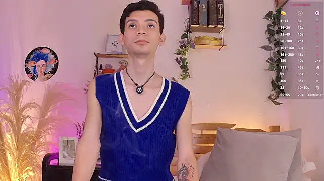 VicenteFerrer Show Webcam