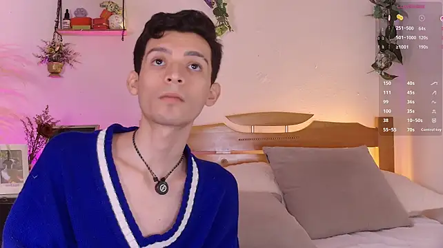 عرض كام VicenteFerrer