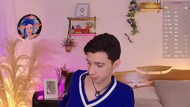 VicenteFerrer's Webcam Show