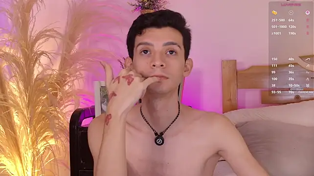 VicenteFerrer Webcam-Show
