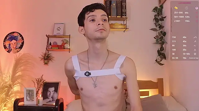 Show de VicenteFerrer na webcam