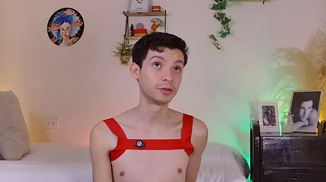 VicenteFerrer's Webcam Show
