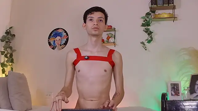 VicenteFerrer Show Webcam