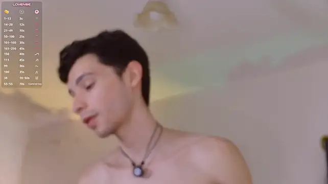 عرض كام VicenteFerrer