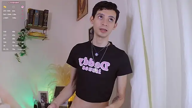 VicenteFerrer webcam show