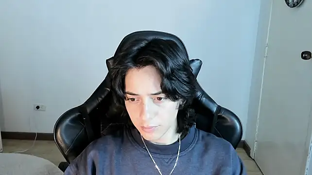 sai_l01 Webcam-Show