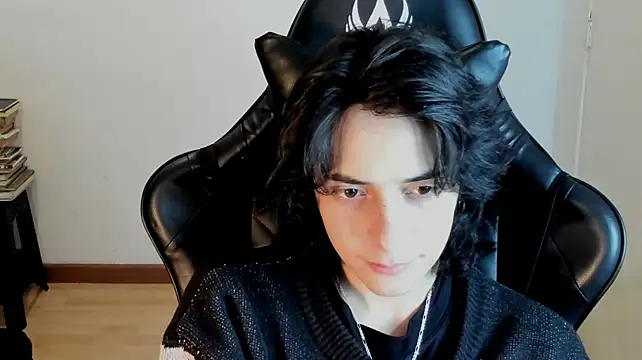 sai_l01 Webcam-Show