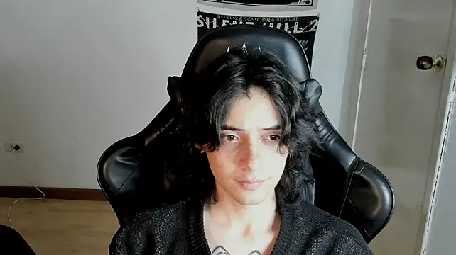 sai_l01 网络视讯表演