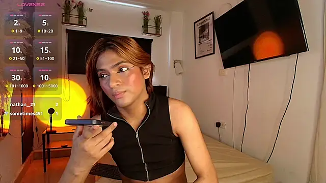 imgervern Webbikameraesitys