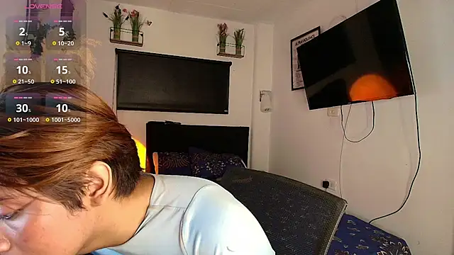 عرض كام imgerver