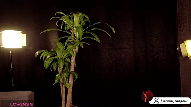 Bruno___69 网络视讯表演