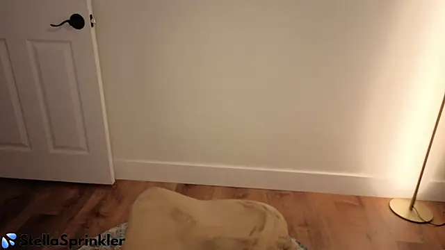 StellaSprinkler – live chatrum