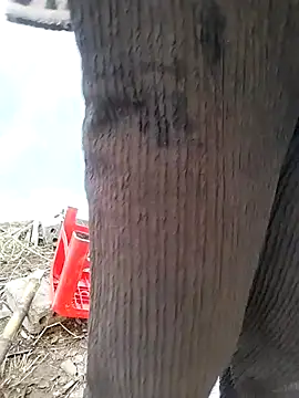 Pokazy przed kamerką – Tiyir597