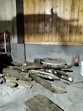 Tiyir597 webcam show