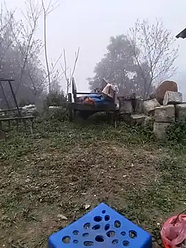 Tiyir597: διαδικτυακό σόου στην κάμερα