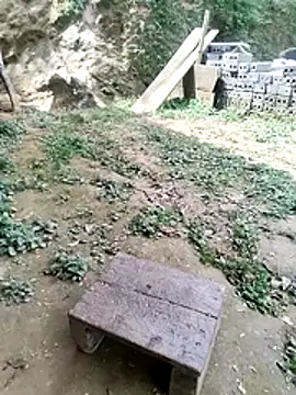 Tiyir597's Webcam Show