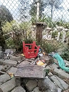 Tiyir597's Webcam Show