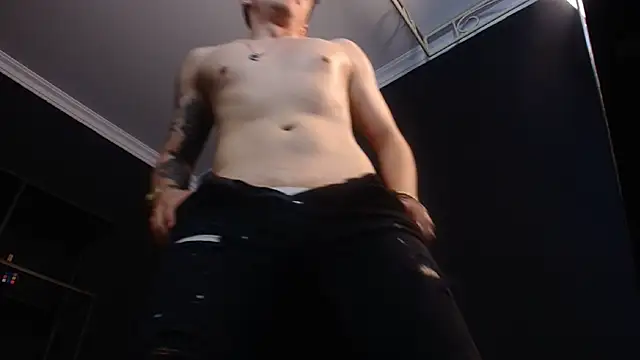 Show webcam de FelixStarkk