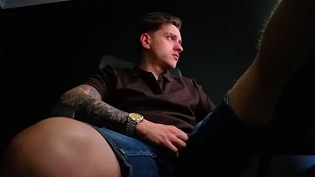 Show Webcam de FelixStarkk