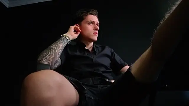 Show Webcam de FelixStarkk