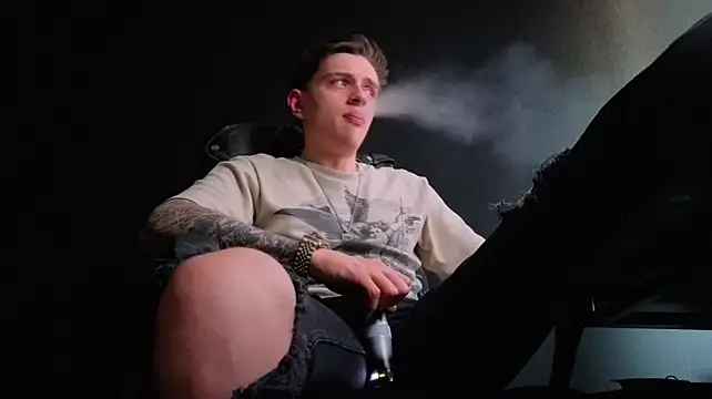 Show webcam de FelixStarkk