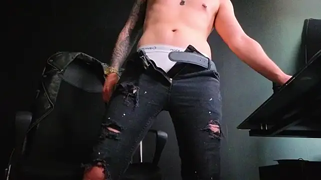 FelixStarkkn Webbikameraesitys