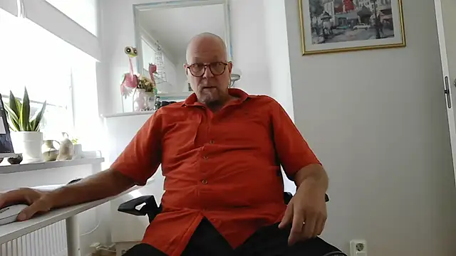 Boddmann Webbikameraesitys