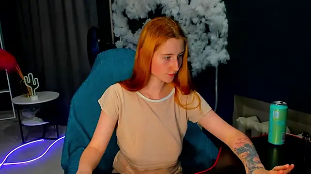 Show webcam de Irma_s