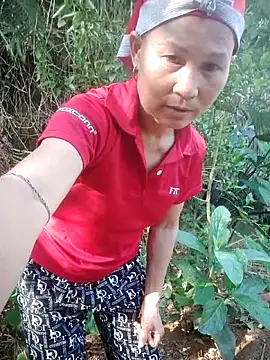 phlin1 网络视讯表演