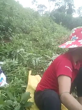 phlin1 网络视讯表演