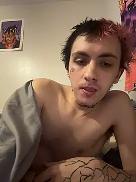 Show Webcam de Capwildd_124